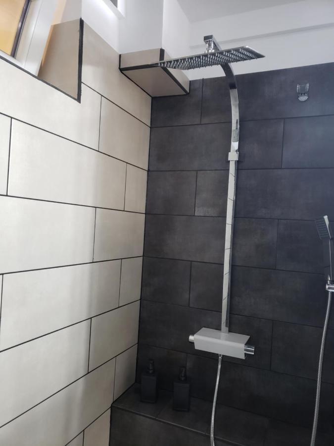 Phoenix Studio Appartamento Bucarest